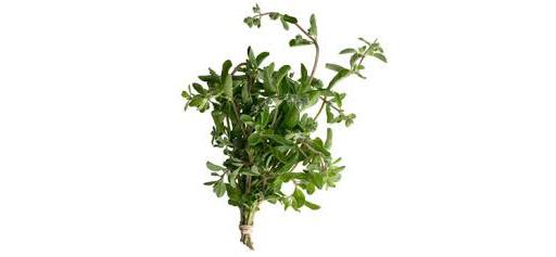 Herb Marjoram 20g (Herbs Unlimited)