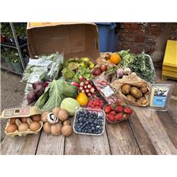 The Big Organic Box