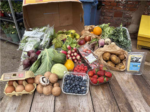 The Big Organic Box
