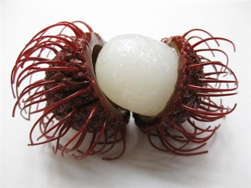 Rambutan