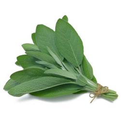 Herb Sage 20g