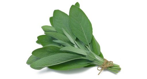 Herb Sage 20g