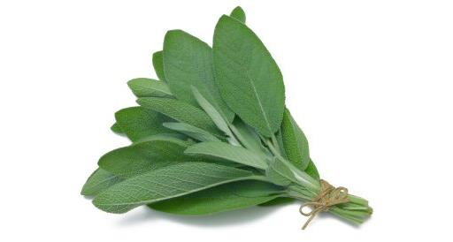 Herb Sage 20g (Herbs Unlimited)