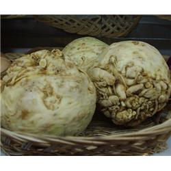 Organic Celeriac With Tops