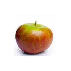 Apple Coxes (125g)