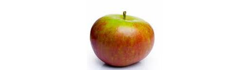 Apple Coxes