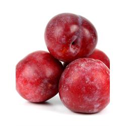 Plums Large 'SEPTEMBER YUMMY'