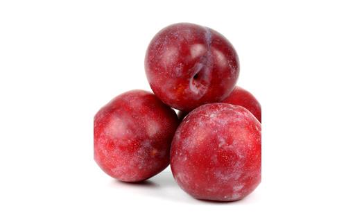 Plums Large 'SEPTEMBER YUMMY'