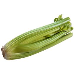 Celery