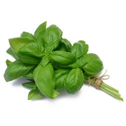 Herb Basil 20g