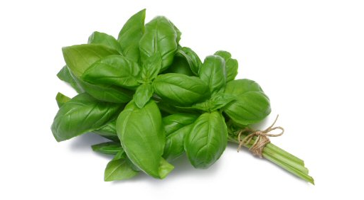 Herb Basil 20g