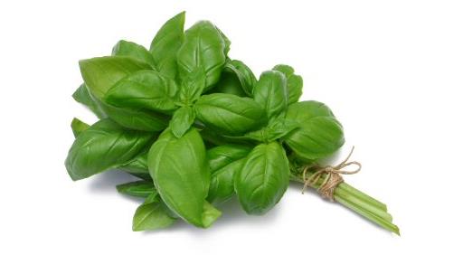 Herb Basil 20g (Herbs Unlimited)