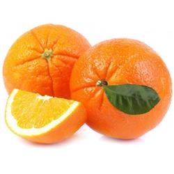 Large Navel Oranges