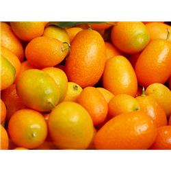 Kumquats
