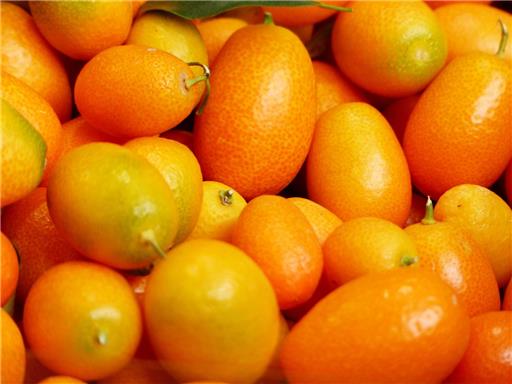 Kumquats