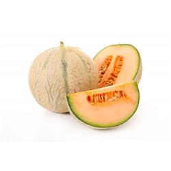 Melon Cantaloupe