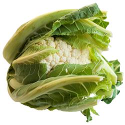 Cauliflower Large