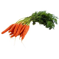 Carrots Bunched