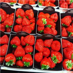 Strawberries "Belgium" X 500G