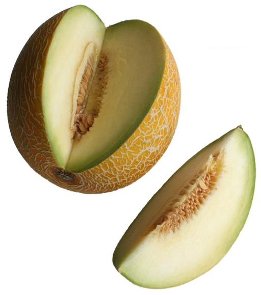 Melon Galia