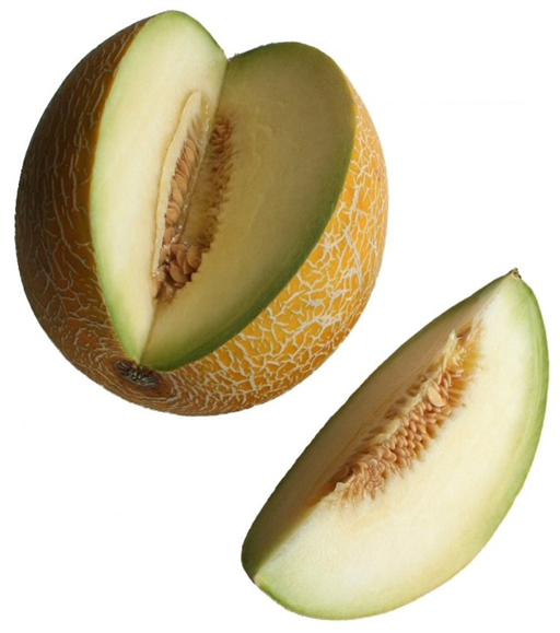 Melon Galia