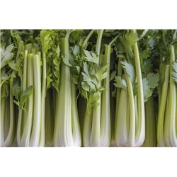 Organic Celery
