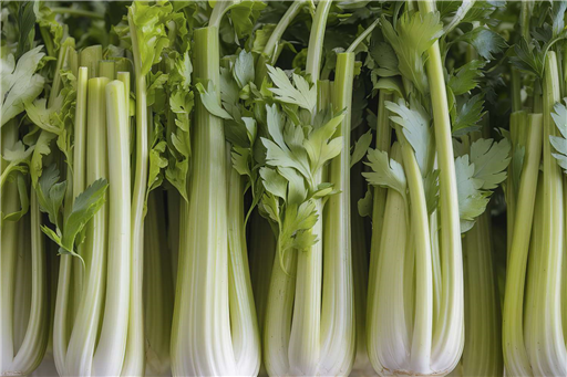 Organic Celery