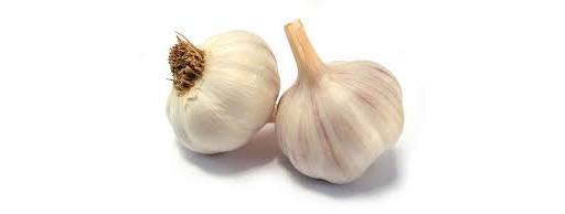 Garlic Violet Spanish