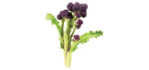 Brocolli Purple Sprouting