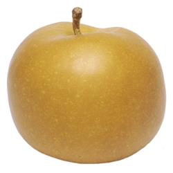 Apple Russet