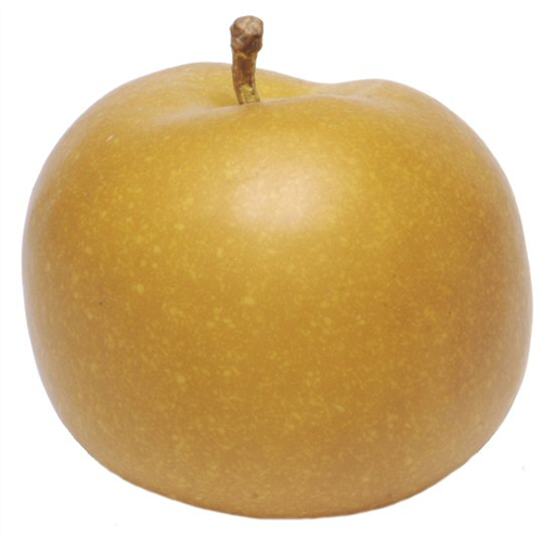 Apple Russet (135g)