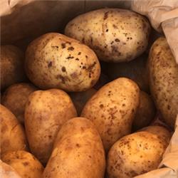 Potatoes Local Sagitta 2.5kg
