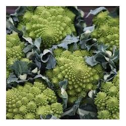 Organic Romanesco Cauliflower