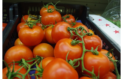 Organic Classic Vine Tomatoes