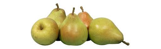 Pear Comice