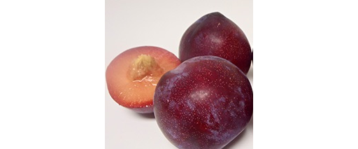 Plum Pack 'Laeticia'