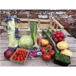 Tenner Taster Box - All Salad