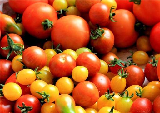 Tomatoes Cherry Mixed Pack