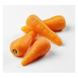 Carrots Chantaney