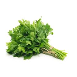 Herb Flat Leaf Parsley 20g