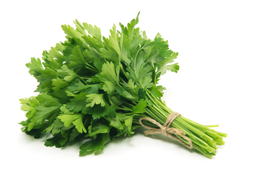 Herb Flat Leaf Parsley 20g