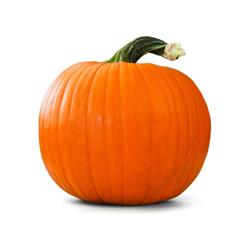 Pumpkin Large