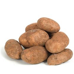 Potatoes Anna 25kg Sack