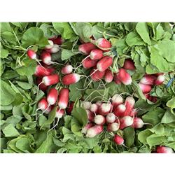 Organic French Breakfast Radish