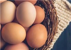 Eggs & Dairy