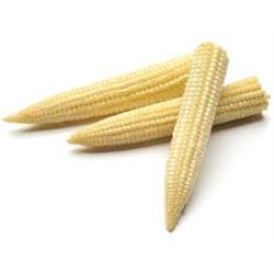 Babycorn