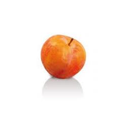 Plums Yellow 'TC Sun'