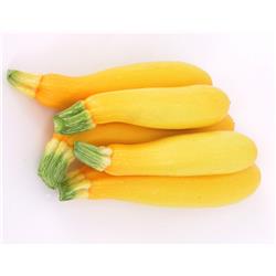 Courgette Yellow