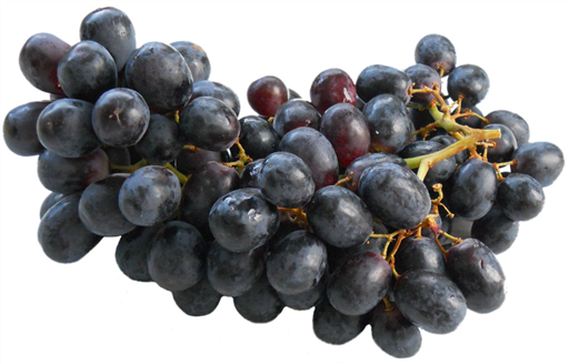 Grape Black Seedless Pack