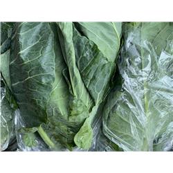 Organic Spring Greens